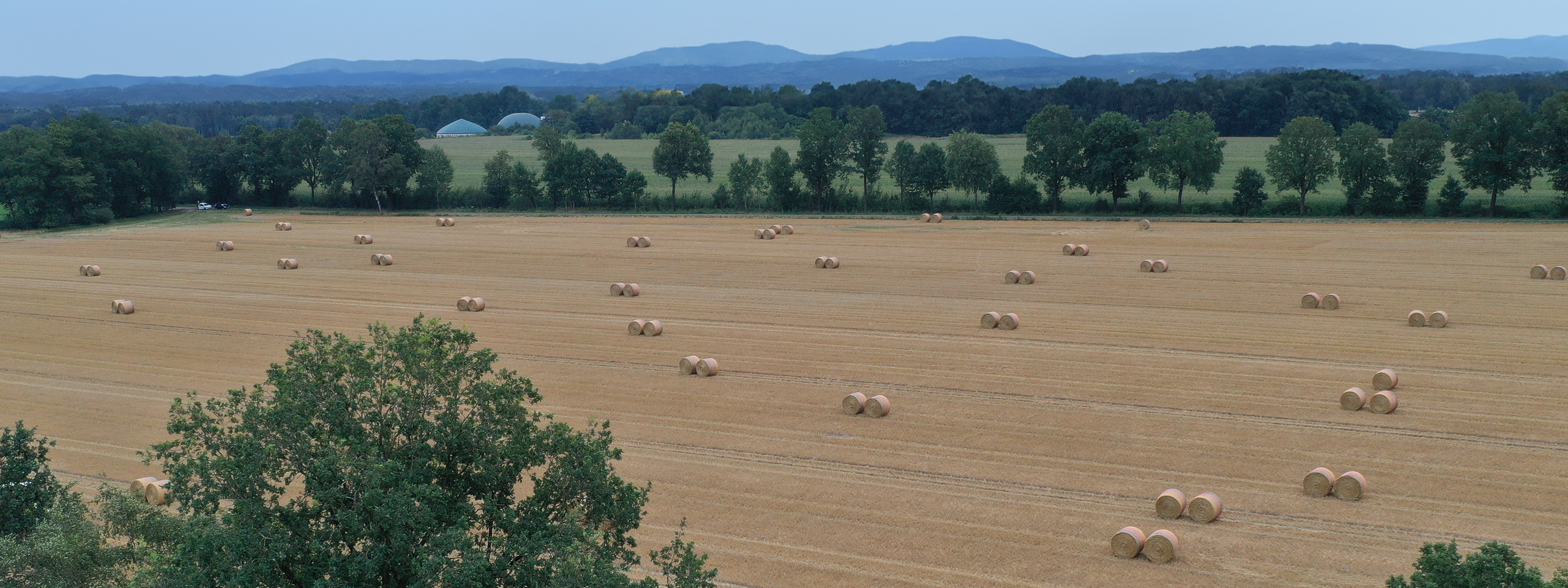 Rundballennetze in der Landwirtschaft